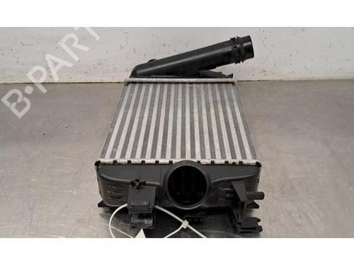 Intercooler RENAULT CAPTUR II (HF_) TCe 90 (HFM6) | BP29234124M30 