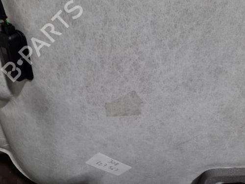 Interior roof PEUGEOT 308 III (FB_, FH_, FP_, F3_, FM_) PureTech 130 (FPHNSL, FPHNST) | BP23593225I12 