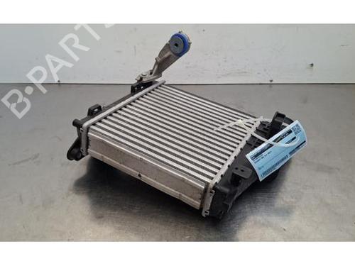 Intercooler Intercooler PEUGEOT 308 III (FB_, FH_, FP_, F3_, FM_) Hybrid 180 (F3DGXT, F3DGMH) (181 hp) 35969880 35969880
