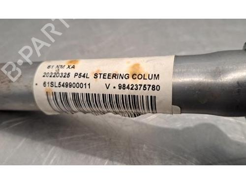 Steering column PEUGEOT 408 II (FP_, F3_, FM_) PureTech 130 (FPHNST) | BP30766429M21