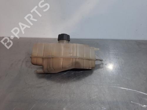 Used Expansion tank RENAULT CLIO III (BR0/1, CR0/1) 1.2 16V (BR0R, BR1D, BR1L, CR0R) (65 hp) 21268312