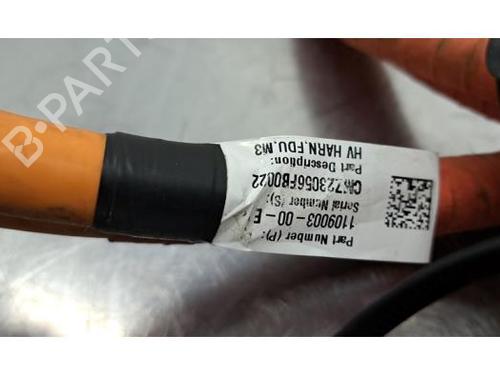 Cable TESLA MODEL Y (5YJY) Long Range All-wheel Drive | BP31633724E12 