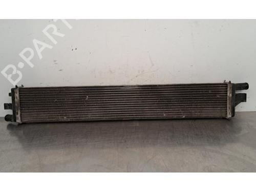 Used Water radiator RENAULT MASTER III Platform/Chassis (EV, HV, UV) 2.3 dCi 130 FWD (EV0Y, HV0Y, UV0M, UV0Y, UV03) (130 hp) 23850419