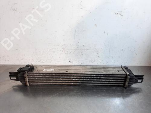 Intercooler FIAT FIORINO Box Body/MPV (225_) 1.3 D Multijet | BP20080891M30 
