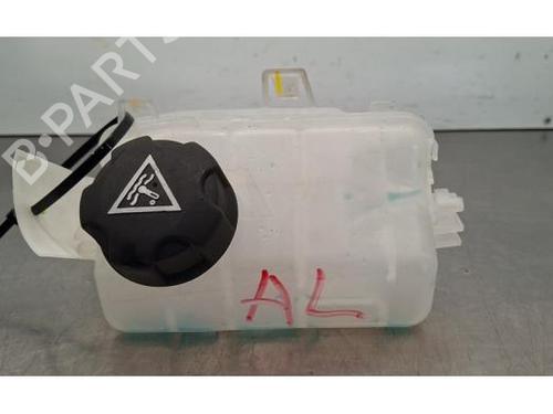 expansion-tank-ds-ds-7-crossback-j4_-jr_-jc_-2017-31818556 main image