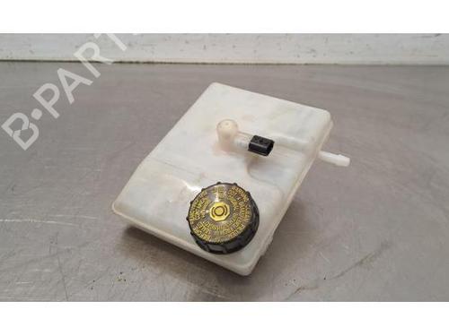 Used Expansion tank RENAULT MASTER III Platform/Chassis (EV, HV, UV) 2.3 dCi 145 FWD (EV0E, EV0F, HV0E, HV0F, UV0E, UV0F,... (146 hp) 28081728