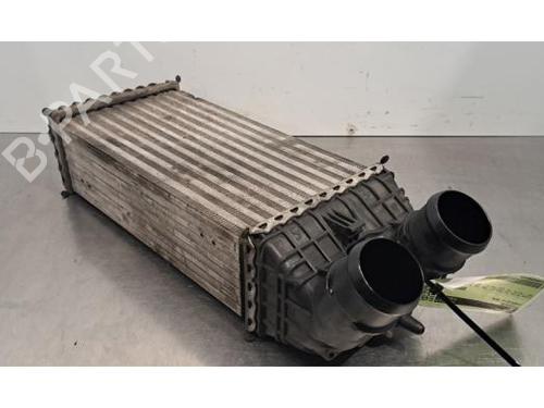 Intercooler CITROËN C3 III Van (SX_, SY_) BlueHDi 100 | BP31655689M30 