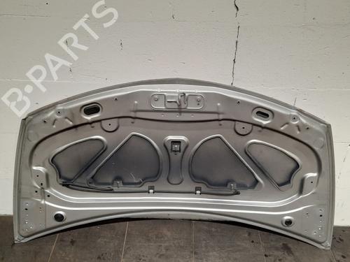 Hood RENAULT CLIO III (BR0/1, CR0/1) 1.2 16V (BR0R, BR1D, BR1L, CR0R) | BP15032899C1 