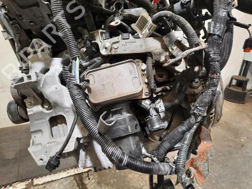 Engine RENAULT EXPRESS Box Body/MPV 1.5 Blue dCi 95 (F6AB) | BP28081716M1 