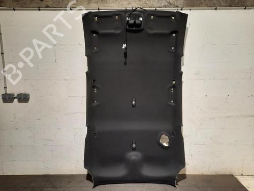 Techo interior FORD S-MAX (CJ, WA6) 1.5 EcoBoost (160 hp) 31054307