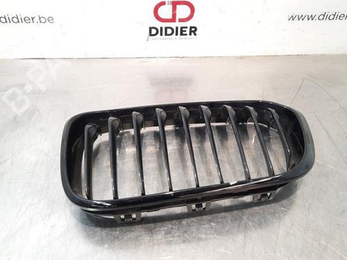 Grill BMW 3 (F30, F80) 318 i (136 hp) 10895119