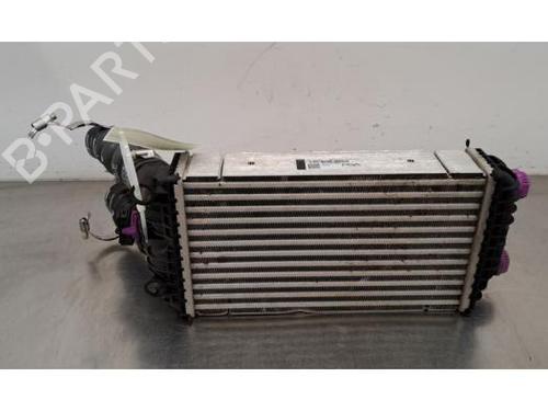 Intercooler CITROËN C4 X (BD_, BE_, BF_) 1.5 BlueHDi 130 (BEYHZB) | BP29467996M30 