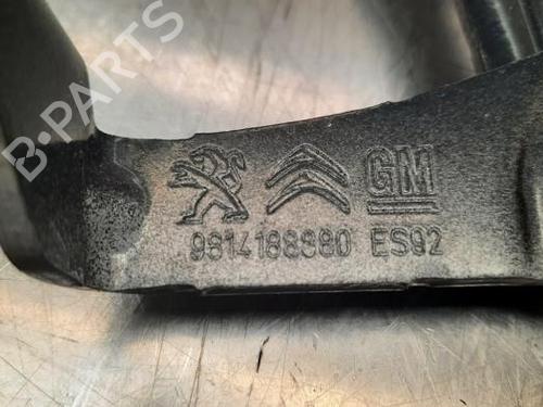 Hinge/Door check strap OPEL GRANDLAND / GRANDLAND X (A18, P1UO) 1.5 Turbo D (75) | BP23614824C146 