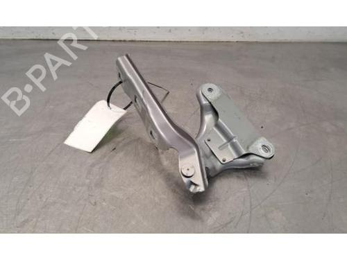 Hinge/Door check strap PEUGEOT 308 III (FB_, FH_, FP_, F3_, FM_) e-308 (FMZKWZ) | BP29317963C146 