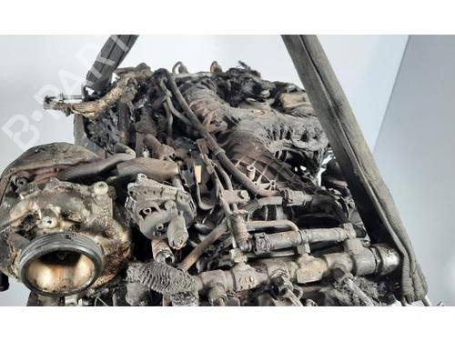Engine AUDI A8 D5 (4N2, 4N8, 4NC, 4NL) 50 TDI Mild Hybrid quattro | BP31633624M1 