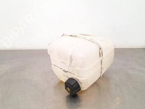 Expansion tank RENAULT KANGOO Express (FW0/1_) Z.E. (FW0Z, FW1Z) | BP23579466C120 