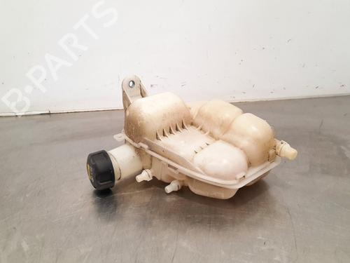 Used Expansion tank MINI MINI CLUBMAN (F54) Cooper S (192 hp) 17112770