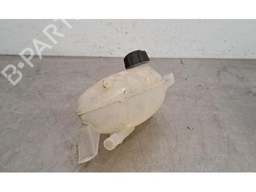 Used Expansion tank RENAULT EXPRESS Box Body/MPV 1.5 Blue dCi 95 (F6AB) (95 hp) 24116590