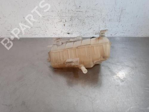 Expansion tank RENAULT KANGOO Express (FW0/1_) 1.5 dCi 70 (FW0A, KW0V) | BP25905371C120 