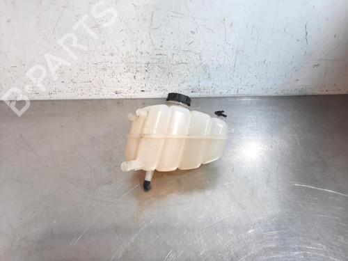 Used Expansion tank FORD S-MAX (CJ, WA6) 1.5 EcoBoost (160 hp) 31029600