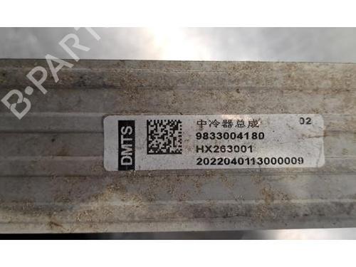 Intercooler DS DS 9 (X2_) 1.6 PureTech 225 (X25GGR) | BP30660000M30