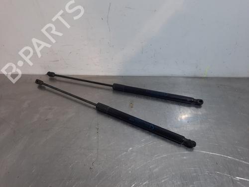 Used Tailgate lift support FIAT TIPO Estate (356_, 357_) 1.6 D (356WXG1B) (120 hp) 17112111