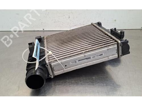 Used Intercooler Intercooler OPEL COMBO E Tour / Life (K9) 1.5 (131 hp) 36480097 36480097