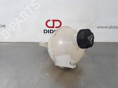 Used Expansion tank PEUGEOT 108 1.2 (82 hp) 10875678