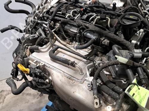 Engine VW GOLF VIII Variant (CG5, DB5) 2.0 TDI | BP23636293M1 