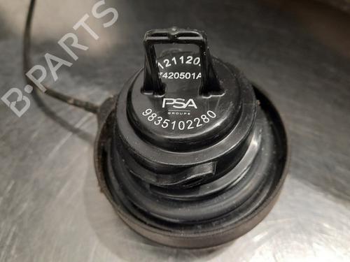 Fuel flap PEUGEOT 308 III (FB_, FH_, FP_, F3_, FM_) PureTech 130 (FPHNSL, FPHNST) | BP16500846C131 