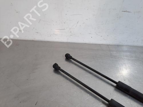Tailgate lift support RENAULT CLIO IV (BH_) 1.5 dCi 75 | BP17112985C138 