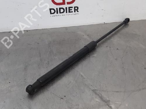 Hood lift support ALFA ROMEO GIULIA (952_) 2.2 D (952AFA25, 952AFM25, 952ALA25) | BP15017765C139 