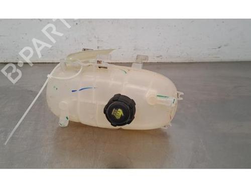 Used Expansion tank FIAT TALENTO Van (296_) 2.0 EcoJet (120 hp) 25750053