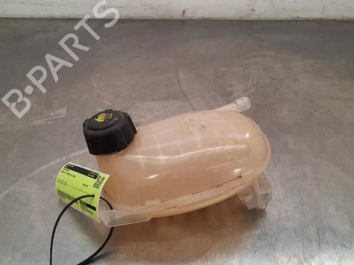 Expansion tank RENAULT CAPTUR II (HF_) TCe 90 (HFM6) 217102572R