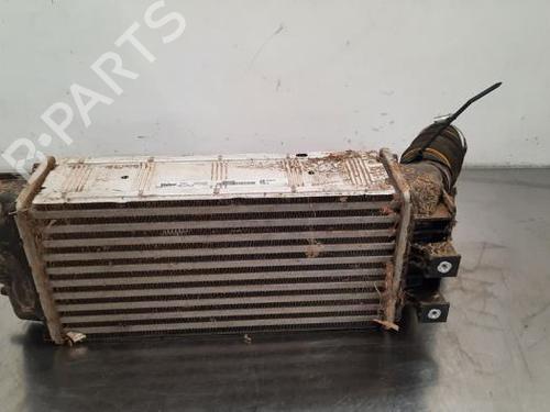 Intercooler PEUGEOT PARTNER Tepee 1.6 HDi 90 | BP23622021M30 
