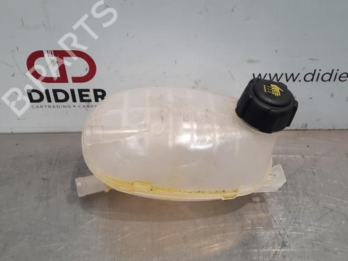 Used Expansion tank RENAULT CLIO III (BR0/1, CR0/1) 1.6 16V (BR09, BR0T, CR09, CR0T) (88 hp) 10897527