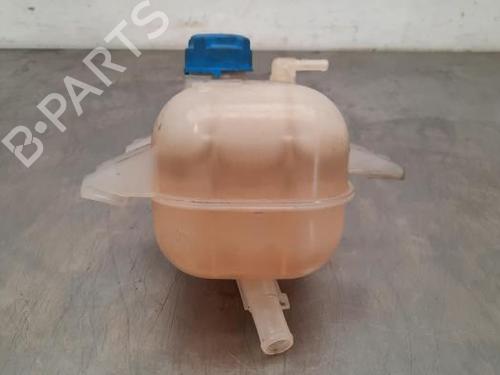 Expansion tank FIAT DOBLO Cargo (263_) 1.3 D Multijet (263WXU1A, 263ZXU1A, 263WYB1A, 263ZYB1A) | BP23597952C120 