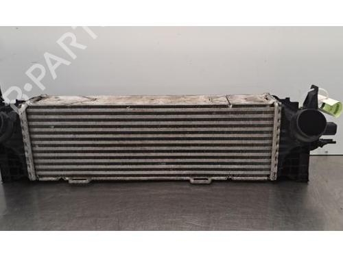 Used Intercooler BMW X5 (G05, F95) xDrive 25 d (231 hp) 30310540