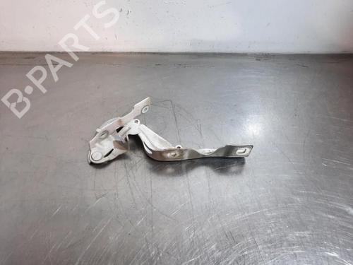 hingedoor-check-strap-citroen-c3-iii-sx-2016-33057899 main image