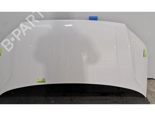 Used Hood VW CRAFTER Van (SY_, SX_) 2.0 TDI FWD (SYB, SYC, SYD) (140 hp) 32128650