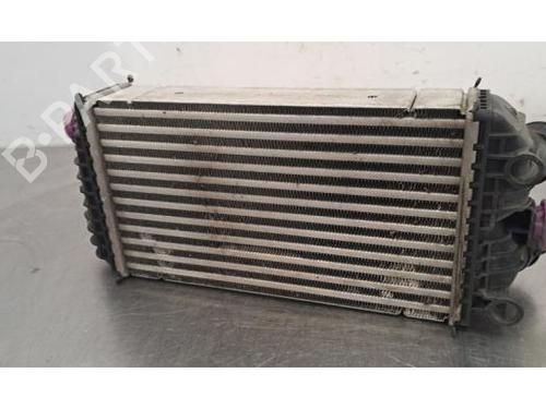Intercooler CITROËN C3 IV (CC_, CB_) 1.2 PureTech 100 (CCHPV4) (101 hp) 29872110