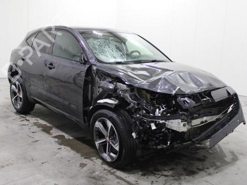 - Image 2