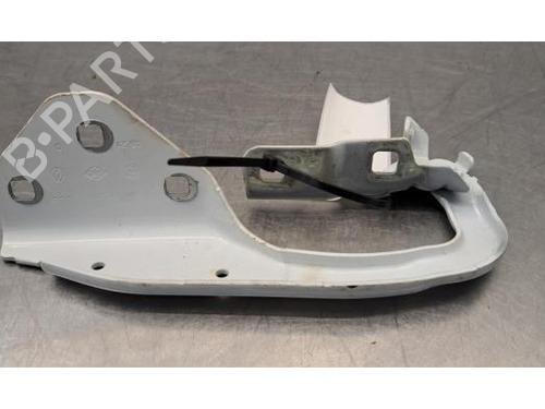 hingedoor-check-strap-dacia-duster-hm_-2017-40483917 main image
