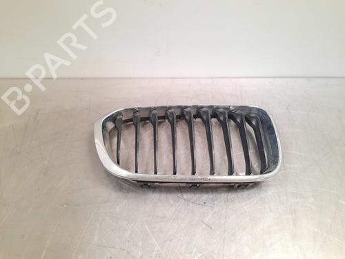 Used Grille BMW 1 (F20) 116 i (109 hp) 16264188