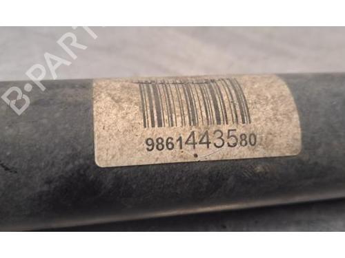 Left rear shock absorber CITROËN C3 IV (CC_, CB_) 1.2 PureTech 100 (CCHPV4) | BP30473176M18