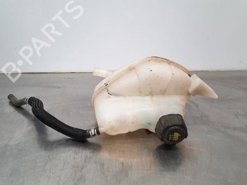Used Expansion tank NISSAN QASHQAI II SUV (J11, J11_) 1.6 dCi (130 hp) 10898624