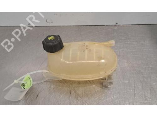 Vase D'Expansion DACIA JOGGER (RK_) 1.0 TCe 110 (RKMD) (110 hp) 30605497