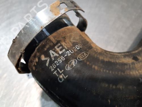 Intercooler pipe KIA SPORTAGE IV (QL, QLE) 1.6 CRDi AWD | BP15042937M127 