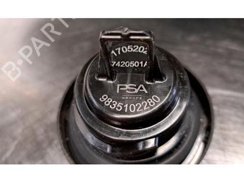 Fuel flap PEUGEOT 308 III (FB_, FH_, FP_, F3_, FM_) PureTech 110 (FPHNPL) | BP23638696C131 