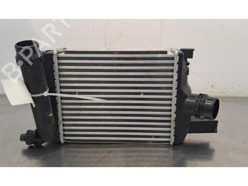 Used Intercooler DACIA DUSTER (HM_) 1.3 TCe 150 (HMM3) (150 hp) 30053905